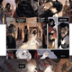 Image for article titled Michael Moorcock Reveals Why This Elric Comic Is Superior To The Books